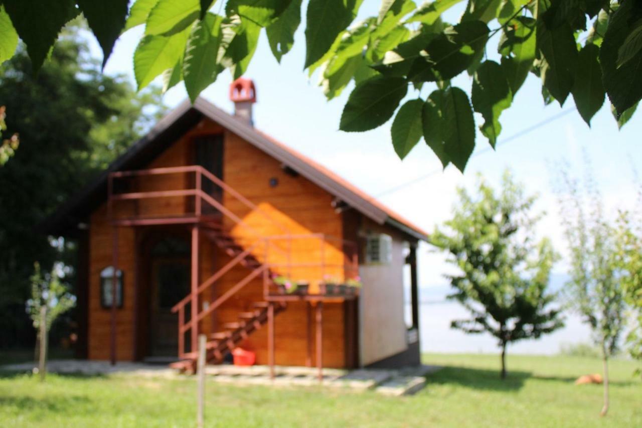 Вилла Carobni Breg Голубац Экстерьер фото